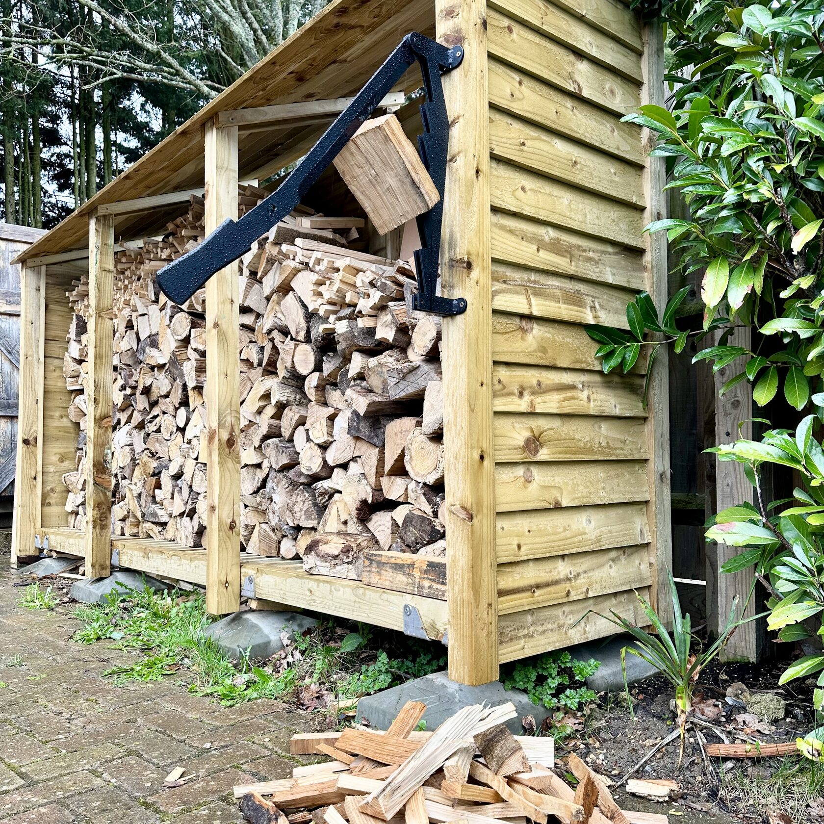 Mounted to the woodshed — Skadi at home among the stack
